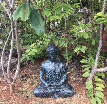 Sitting among the Callachuchi