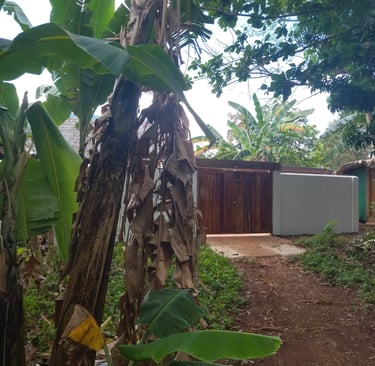 Callachuchi Homestay Entrance