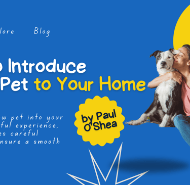 How to introduce a new pet to your home, Fido's Pet Sitters Lynnwood pet sitters