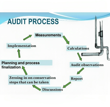 Audit Process