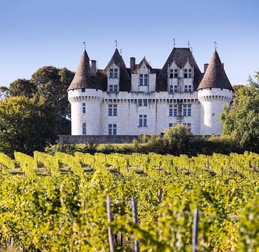 A castle Dordogne Monbazillac