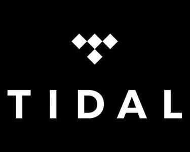 Television Broadcast Company Logo