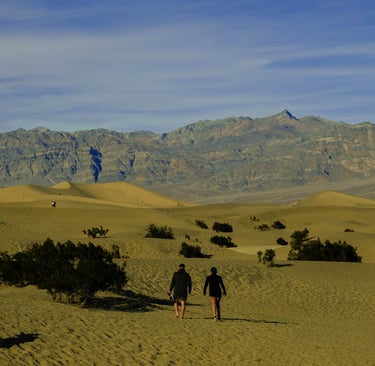 Mesquite Sand Dunes, Death Valley Activities, Things to do in Death Valley