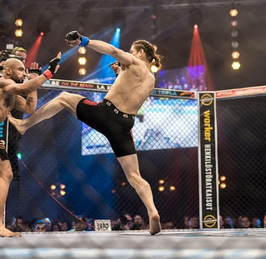 MMA Referee Hadi Mohamed Ali