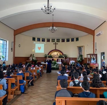 actividades en el señor de las maravillas