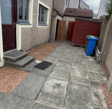A back garden with masonry painting