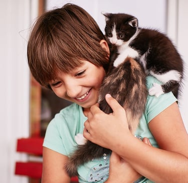 petit garçon heureux tenant 2 chatons dans ses bras