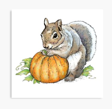 a squirrel with a pumpkin on a white background
