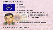provisional driving licence
