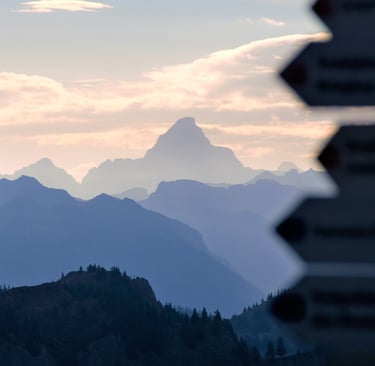 Schilder vor Allgäuer Alpen mit Hochvogel