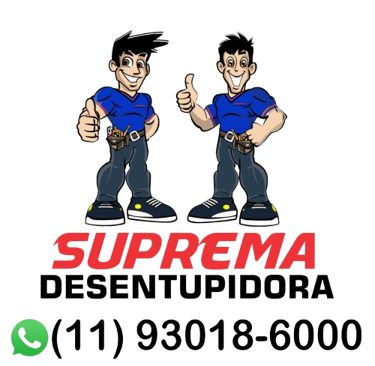 logo da desentupidora