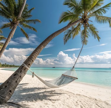 a hammock hanging from a palm tree on a beach