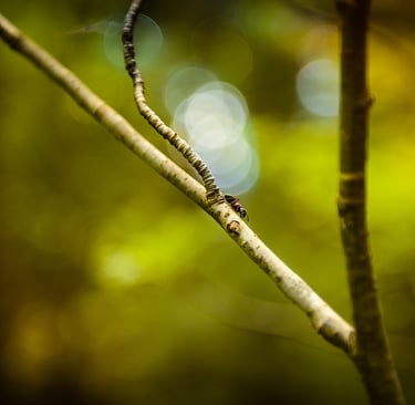 S'éclairer grâce au brainspotting 