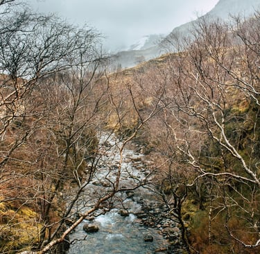Pouvoir se connaitre a travers ses schémas de construction