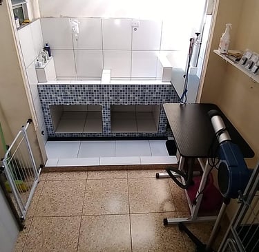 espaço para banho e tosa da miau