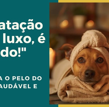 A importância da hidratação
