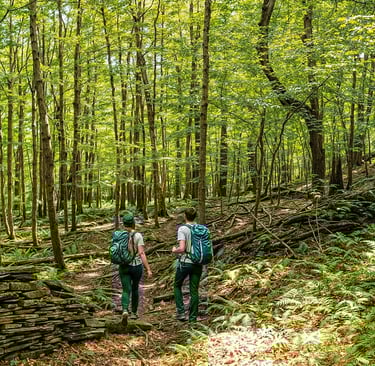 Venture beyond the backyard and let curiosity be your guide.