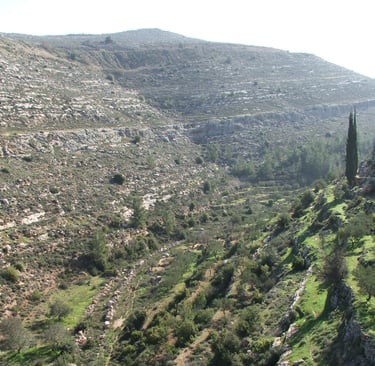 Farming in Bethlehem
