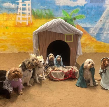 dogs in a Nativity scene