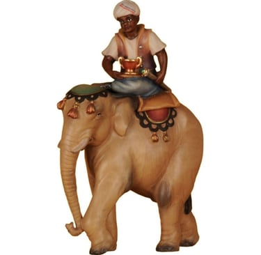 Wise man on elephant