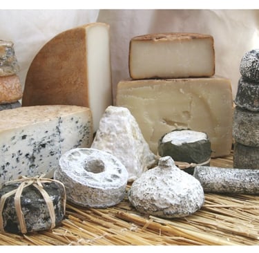 Goat's milk cheese