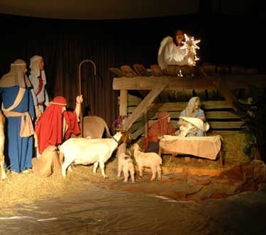 Live Nativity scene with animals