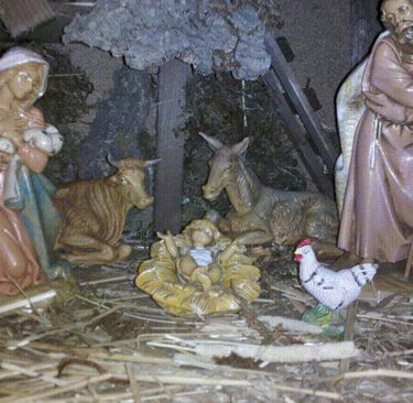 rooster in nativity scene