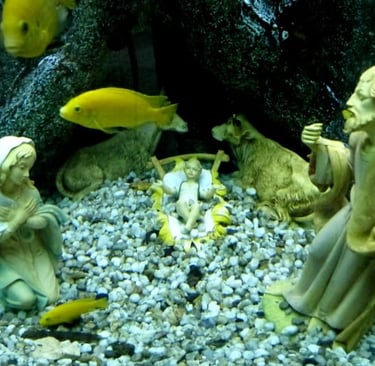 Nativity figures in fish tank