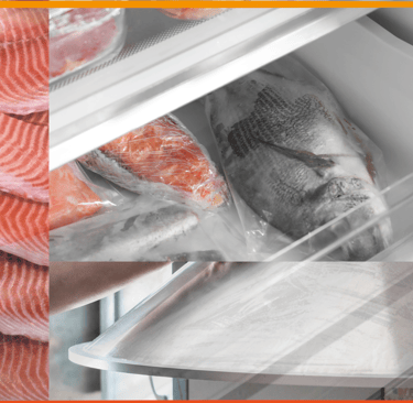 Processamento em indústria de pescados com equipamentos em inox