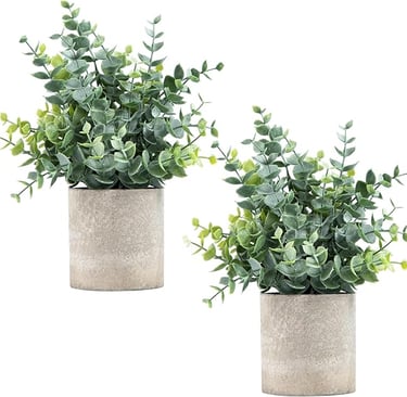 two potted plants in cement pots on a white background