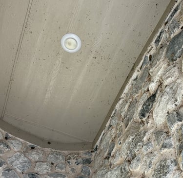 Bugs and tubes on lake side house in The Colony Texas