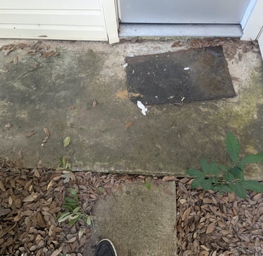 Before picture of a porch with mold and algae that needs cleaned. 