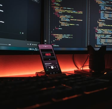 Developer CODING