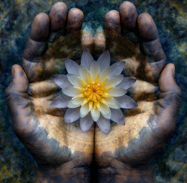 a person holding a flower in their hands