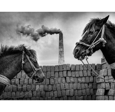 Sujan Sarkar photography 47