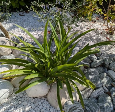 paysagiste marsillargues