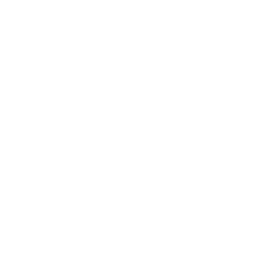 Selección Oficial Muvic Fest 2024 Pasto Colombia