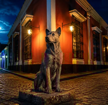 ATHEJOS El universo de Rosa