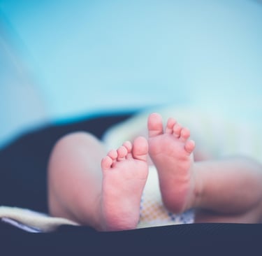 ensaio new born