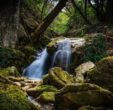 foto fine art natureza