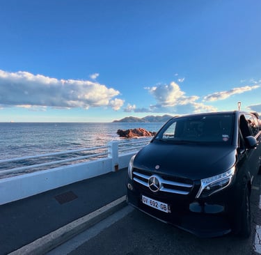 Chauffeur privé VIP