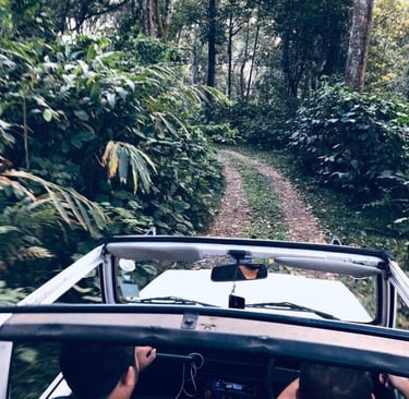 offroad jeep safari