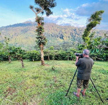 Birdwatcher,s paradise