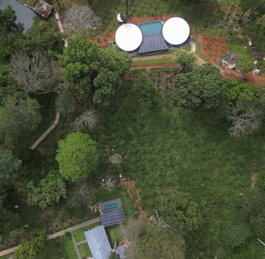 STAY IN NELLIYAMPATHY