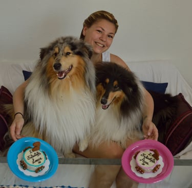 gâteau d'anniversaire pour chiens
