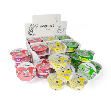 Yaourt Glacé pour chien