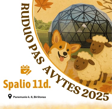 korgių renginys 2025