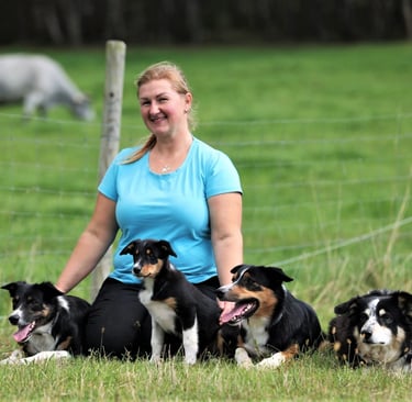 Dog hotel Birstonas