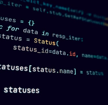 software development