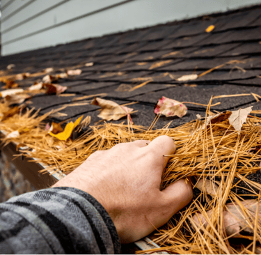 entretien cheneaux en ardeche et drome